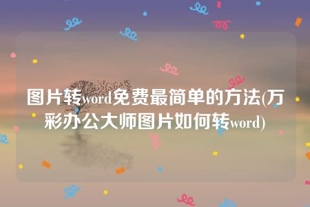 图片转word免费最简单的方法(万彩办公大师图片如何转word)