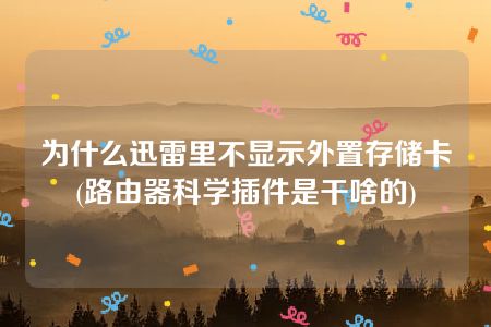 为什么迅雷里不显示外置存储卡(路由器科学插件是干啥的)