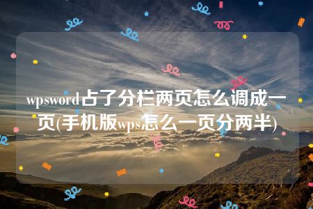 wpsword占了分栏两页怎么调成一页(手机版wps怎么一页分两半)