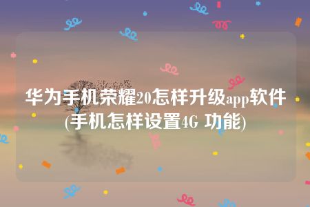 华为手机荣耀20怎样升级app软件(手机怎样设置4G 功能)