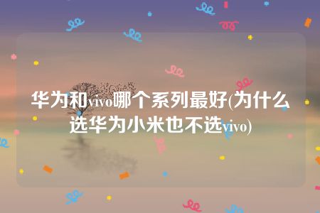 华为和vivo哪个系列最好(为什么选华为小米也不选vivo)