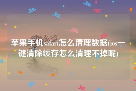 苹果手机safari怎么清理数据(ios一键清除缓存怎么清理不掉呢)