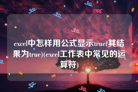 excel中怎样用公式显示true(其结果为true)(excel工作表中常见的运算符)