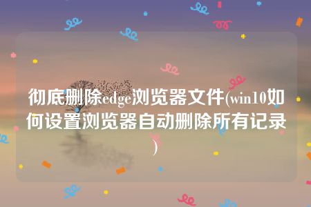 彻底删除edge浏览器文件(win10如何设置浏览器自动删除所有记录)