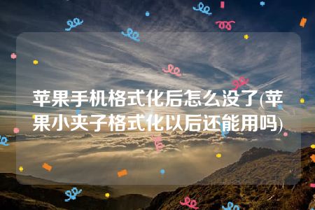 苹果手机格式化后怎么没了(苹果小夹子格式化以后还能用吗)