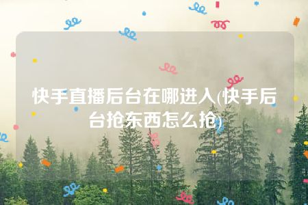 快手直播后台在哪进入(快手后台抢东西怎么抢)