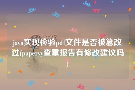 java实现检验pdf文件是否被篡改过(paperyy查重报告有修改建议吗)