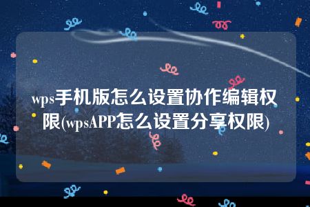 wps手机版怎么设置协作编辑权限(wpsAPP怎么设置分享权限)