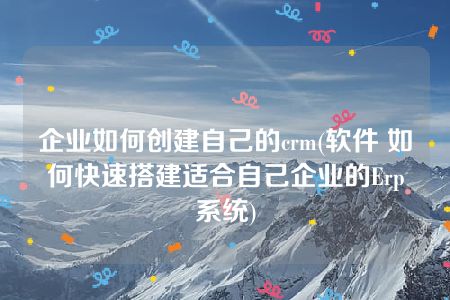 企业如何创建自己的crm(软件 如何快速搭建适合自己企业的Erp系统)