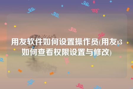 用友软件如何设置操作员(用友t3如何查看权限设置与修改)