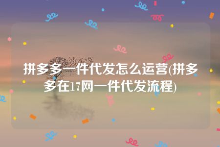 拼多多一件代发怎么运营(拼多多在17网一件代发流程)