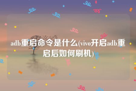 adb重启命令是什么(vivo开启adb重启后如何刷机)