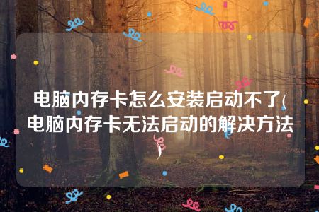 电脑内存卡怎么安装启动不了(电脑内存卡无法启动的解决方法)