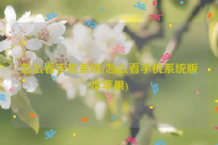 怎么看手机系统(怎么看手机系统版本苹果)