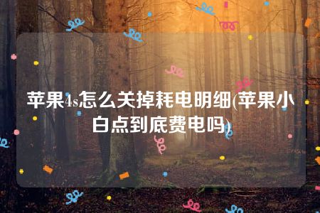 苹果4s怎么关掉耗电明细(苹果小白点到底费电吗)