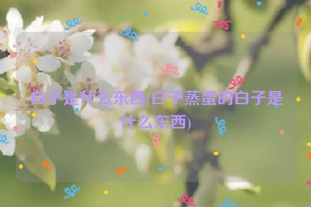 白子是什么东西(白子蒸蛋的白子是什么东西)