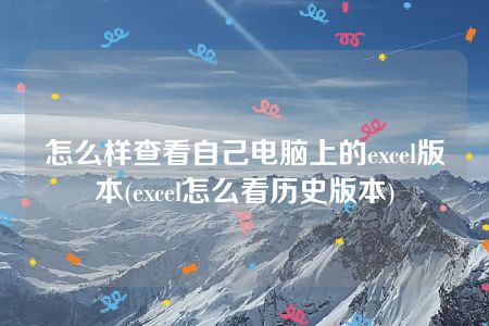 怎么样查看自己电脑上的excel版本(excel怎么看历史版本)