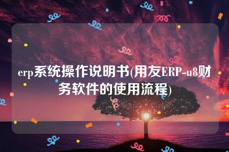 erp系统操作说明书(用友ERP-u8财务软件的使用流程)