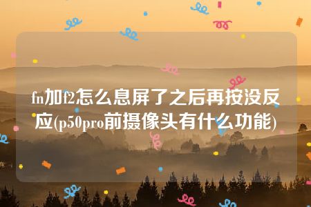 fn加f2怎么息屏了之后再按没反应(p50pro前摄像头有什么功能)