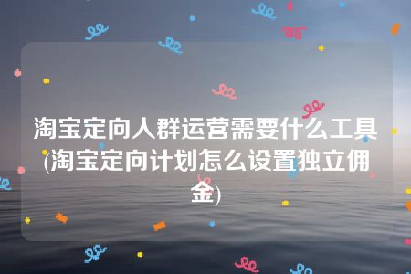 淘宝定向人群运营需要什么工具(淘宝定向计划怎么设置独立佣金)