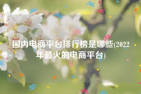 国内电商平台排行榜是哪些(2022年最火的电商平台)