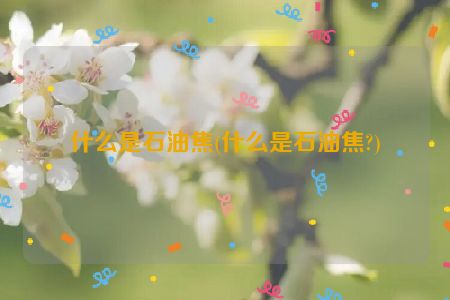 什么是石油焦(什么是石油焦?)