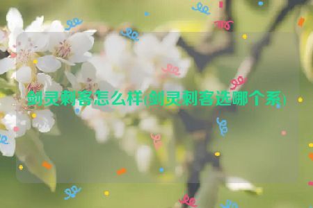 剑灵刺客怎么样(剑灵刺客选哪个系)