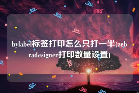 bylabel标签打印怎么只打一半(zebradesigner打印数量设置)