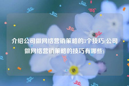 介绍公司做网络营销策略的3个技巧(公司做网络营销策略的技巧有哪些)