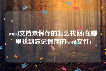 word文档未保存的怎么找回(在哪里找到忘记保存的word文件)