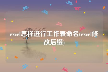 excel怎样进行工作表命名(excel修改后缀)