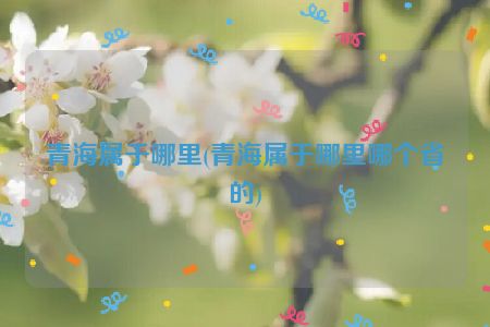 青海属于哪里(青海属于哪里哪个省的)