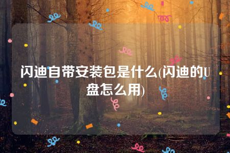 闪迪自带安装包是什么(闪迪的U盘怎么用)