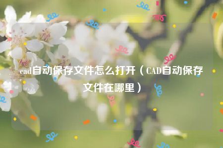 cad自动保存文件怎么打开（CAD自动保存文件在哪里）