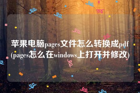 苹果电脑pages文件怎么转换成pdf(pages怎么在windows上打开并修改)