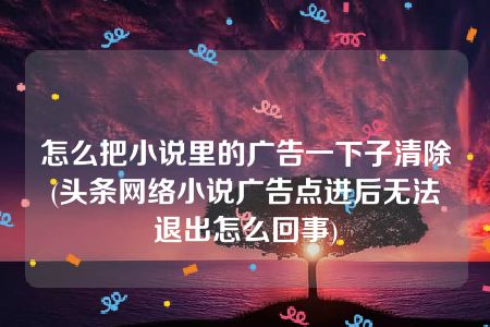 怎么把小说里的广告一下子清除(头条网络小说广告点进后无法退出怎么回事)