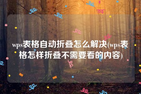 wps表格自动折叠怎么解决(wps表格怎样折叠不需要看的内容)