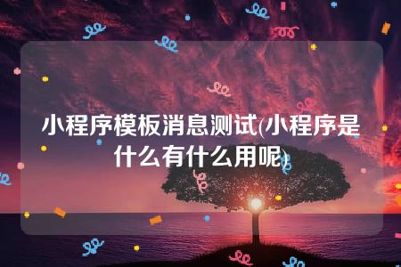 小程序模板消息测试(小程序是什么有什么用呢)