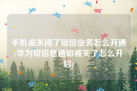 手机被关闭了短信业务怎么开通(华为短信息通知被关了怎么开启)