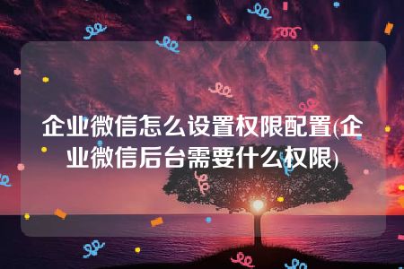 企业微信怎么设置权限配置(企业微信后台需要什么权限)