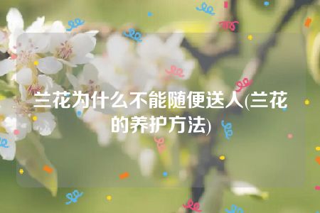 兰花为什么不能随便送人(兰花的养护方法)