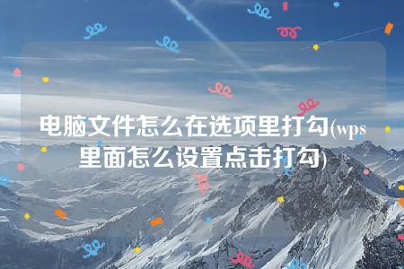 电脑文件怎么在选项里打勾(wps里面怎么设置点击打勾)