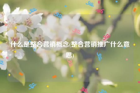 什么是整合营销概念(整合营销推广什么意思)