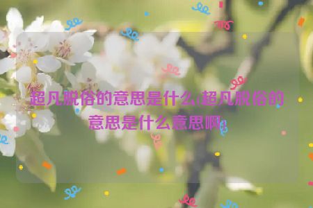 超凡脱俗的意思是什么(超凡脱俗的意思是什么意思啊)