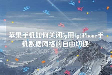 苹果手机如何关闭5g用4g(iPhone手机数据网络的自由切换)