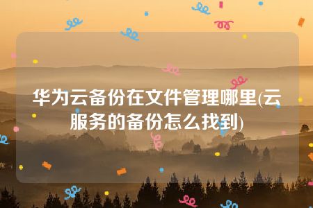 华为云备份在文件管理哪里(云服务的备份怎么找到)