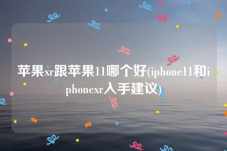 苹果xr跟苹果11哪个好(iphone11和iphonexr入手建议)