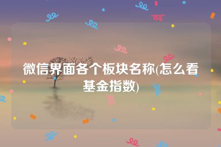 微信界面各个板块名称(怎么看基金指数)