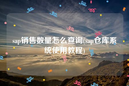 sap销售数量怎么查询(sap仓库系统使用教程)