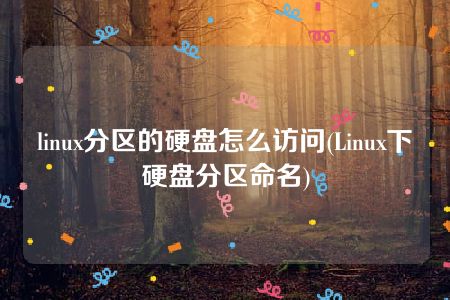 linux分区的硬盘怎么访问(Linux下硬盘分区命名)